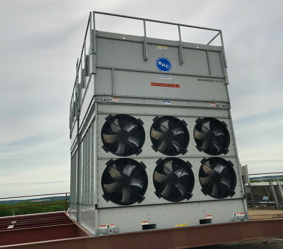 Vertex™ - dairymaid_vertex