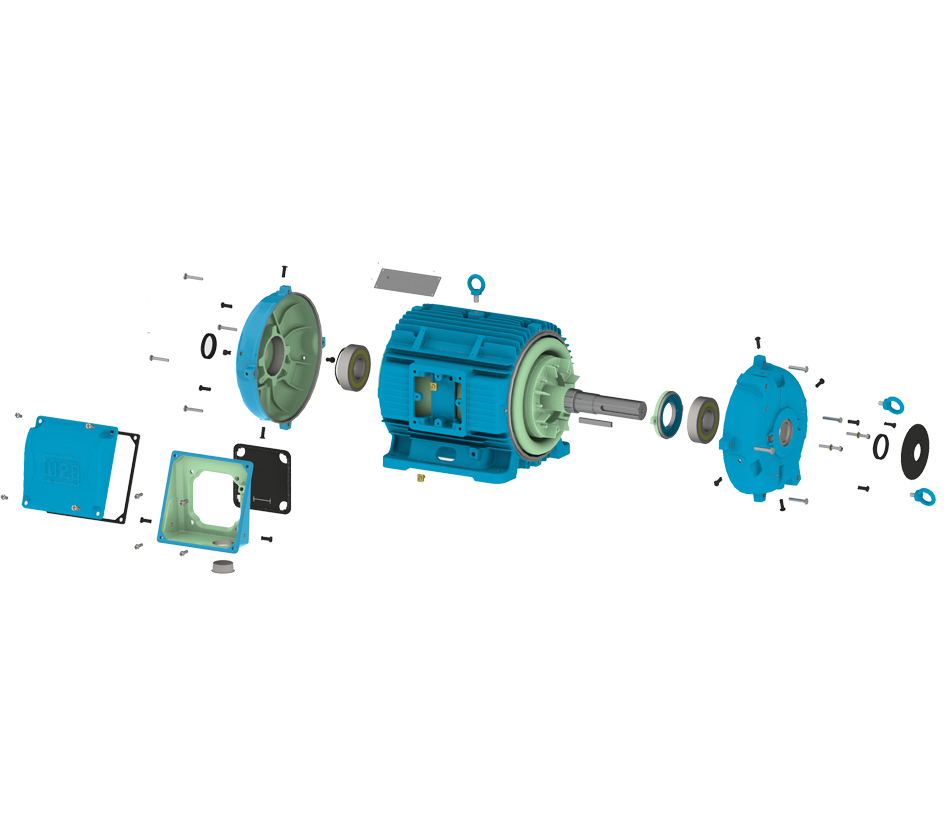 Premium Efficient Motor BAC